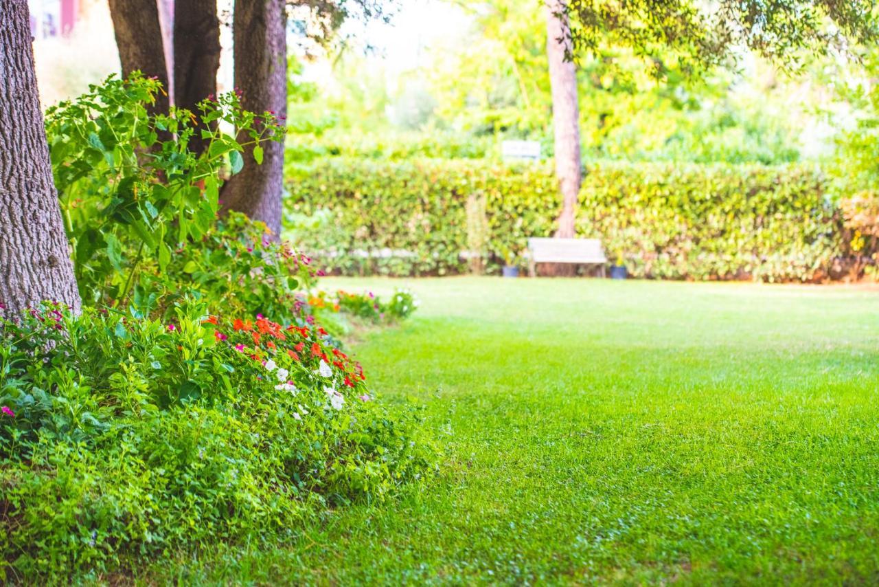 B&B Il Girasole Corciano Bagian luar foto